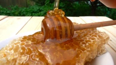 Bal ayı petek üzerinde gelen sarı arka plan üzerinde damlayan tatlım. ağır çekim