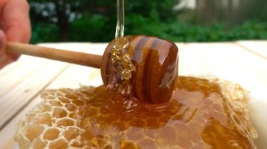 Bal ayı petek üzerinde gelen sarı arka plan üzerinde damlayan tatlım. 4k