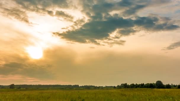 Lapso de tiempo. Movimiento rápido de nubes en el verano sobre campos de trigo — Vídeo de stock