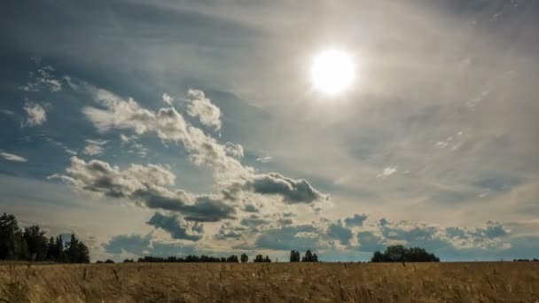 Lapso de tiempo. Movimiento rápido de nubes en el verano sobre campos de trigo — Vídeos de Stock