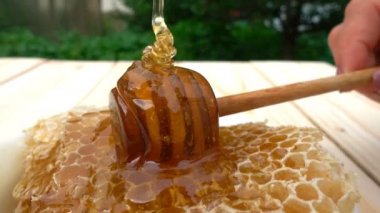 Bal ayı petek üzerinde gelen sarı arka plan üzerinde damlayan tatlım. 4k