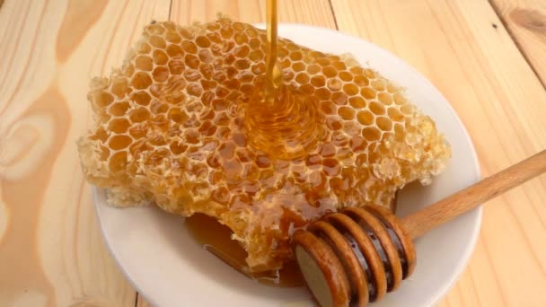 Honey dripping from honey dipper on honeycomb, over yellow background. slow motion — Stock Video