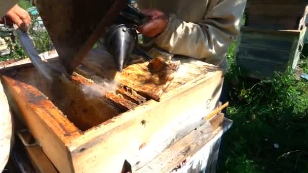 Apicultores inspecionar uma colmeia, câmera lenta — Vídeo de Stock