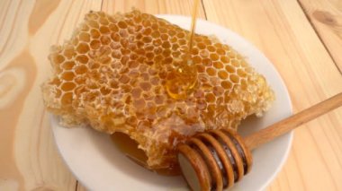 Bal ayı petek üzerinde gelen sarı arka plan üzerinde damlayan tatlım. ağır çekim