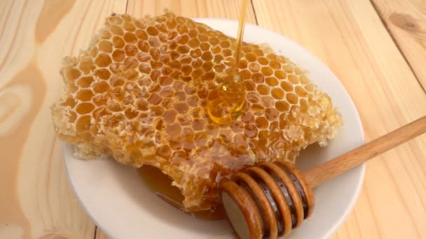 Miel coulant de la trempette de miel sur nid d'abeille, sur fond jaune. au ralenti — Video