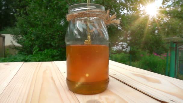 Honey is poured into the jar with a thin stream, video loop — Stock Video