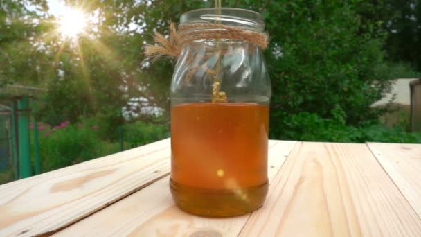 Honig wird mit einem dünnen Strahl in das Glas gegossen, Videoschleife — Stockvideo