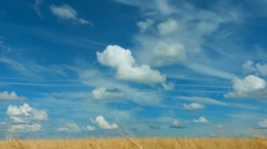 zaman atlamalı. Yaz boyunca buğday alanları bulutlarda hızlı hareket