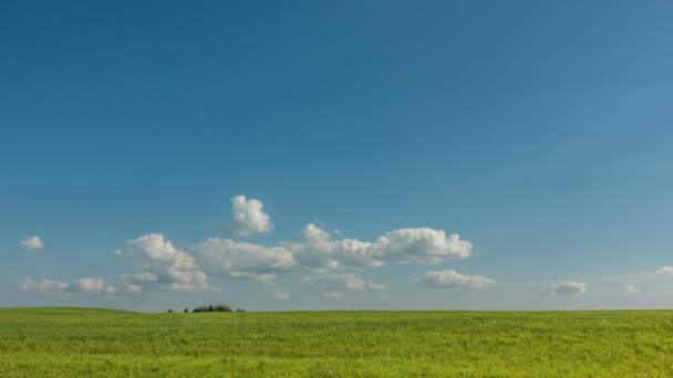 Beautiful time lapse over a keen summer landscape — Stock Video