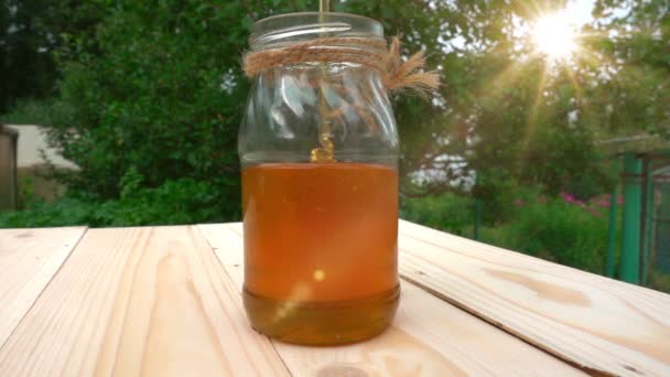 Honig wird mit einem dünnen Strahl in das Glas gegossen, Videoschleife — Stockvideo