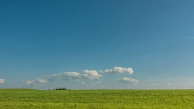 Güzel zaman atlamalı bir keskin yaz manzara, video döngü üzerinde