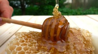 Bal ayı petek üzerinde gelen sarı arka plan üzerinde damlayan tatlım. Ahşap bal kaşığı, 4 k daldırma kalın organik bal