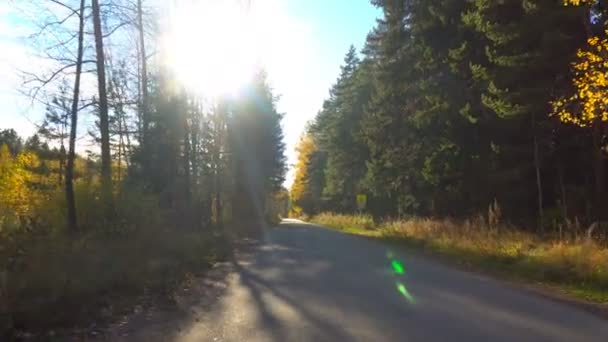 Passeggiata lungo la strada forestale autunnale — Video Stock