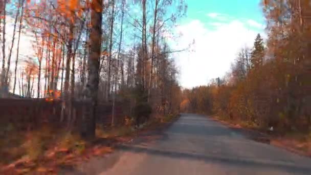 Caminhe ao longo da estrada floresta outono — Vídeo de Stock