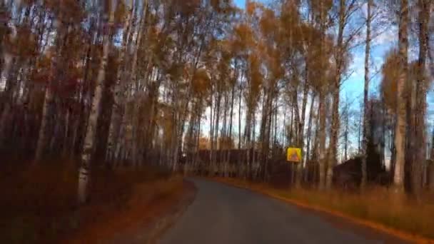 Promenad längs höstens skogsväg — Stockvideo