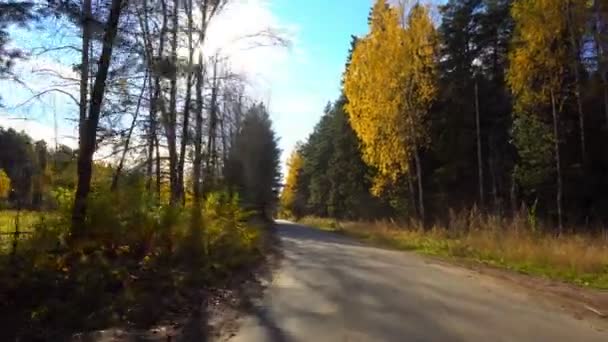 Spaziergang entlang der herbstlichen Waldstraße — Stockvideo