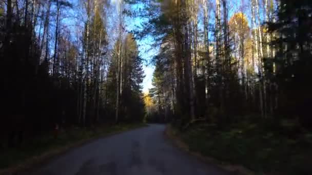 Sonbahar orman yolunda yürü — Stok video