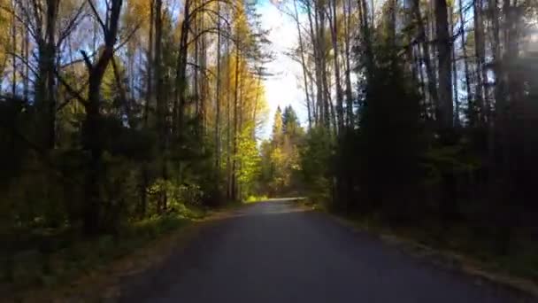 Caminar por el camino del bosque de otoño — Vídeos de Stock