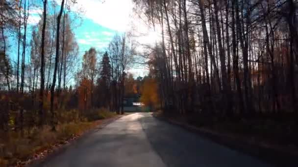 Wandeling langs de herfstbosweg — Stockvideo