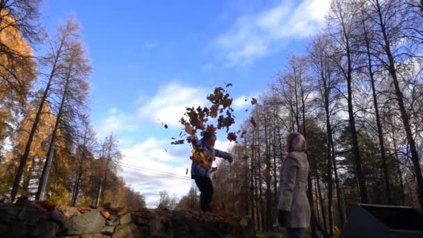 Herfst vergeelde bladeren vallen van een boom bij zonnig weer, slow-motion — Stockvideo