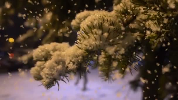 Вечірня прогулянка в міському парку під час першого снігу, красивий вечірній міський пейзаж — стокове відео