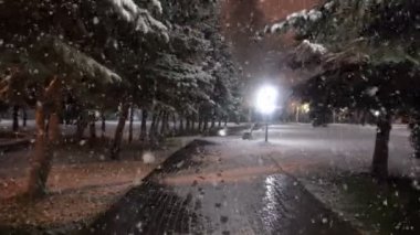 İlk kar, güzel bir akşam cityscape sırasında şehir parkta akşam yürüyüş