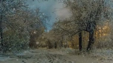 İlk kar, güzel bir akşam cityscape sırasında şehir parkta akşam yürüyüş