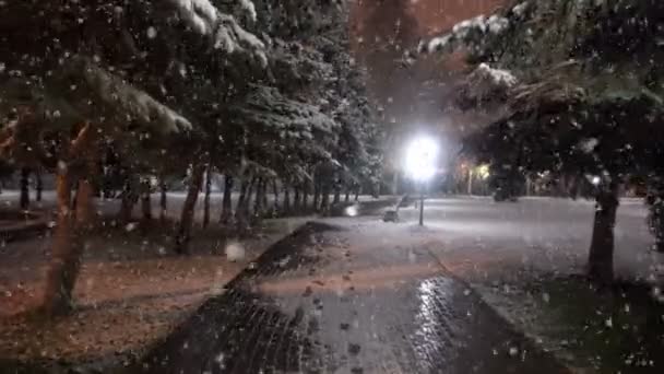 Вечерняя прогулка в городском парке во время первого снега, красивый вечерний городской пейзаж — стоковое видео