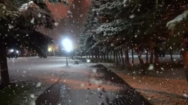 Paseo nocturno en el parque de la ciudad durante la primera nieve, un hermoso paisaje urbano nocturno — Vídeos de Stock