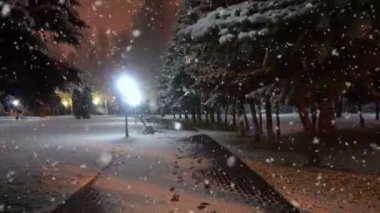 İlk kar, güzel bir akşam cityscape sırasında şehir parkta akşam yürüyüş