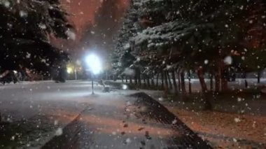 İlk kar, güzel bir akşam cityscape sırasında şehir parkta akşam yürüyüş