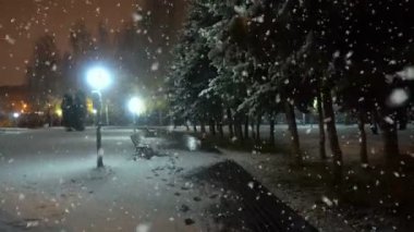 İlk kar, güzel bir akşam cityscape sırasında şehir parkta akşam yürüyüş