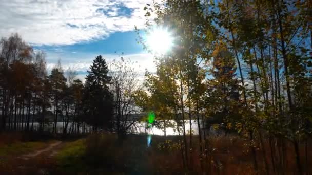 Passeio na floresta de pinheiros de outono nas margens do rio, paisagem de outono — Vídeo de Stock