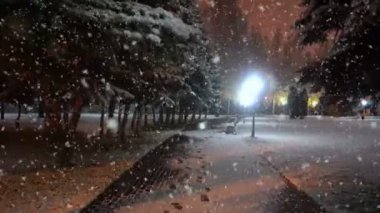 İlk kar, güzel bir akşam cityscape sırasında şehir parkta akşam yürüyüş