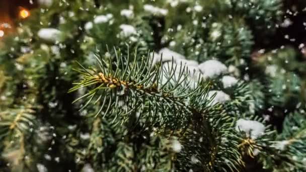 Promenade nocturne dans le parc de la ville pendant la première neige, un magnifique paysage urbain en soirée — Video