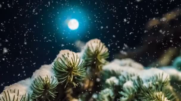 Nieve suave en el bosque de invierno en una noche iluminada por la luna, un hermoso paisaje de invierno por la noche con la caída de nieve, bucle de vídeo — Vídeos de Stock