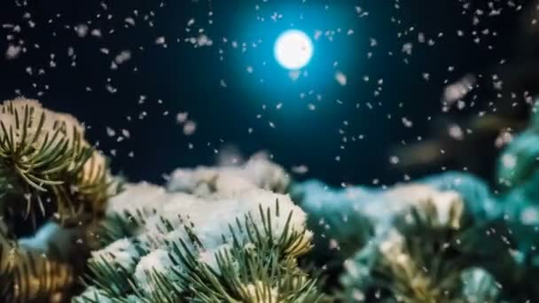 Nieve suave en el bosque de invierno en una noche iluminada por la luna, un hermoso paisaje de invierno por la noche con la caída de nieve, bucle de vídeo — Vídeos de Stock