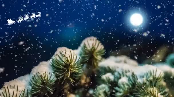 Notte di Natale, Babbo Natale slitte e cervi che volano attraverso il cielo, biglietto animato Capodanno — Video Stock