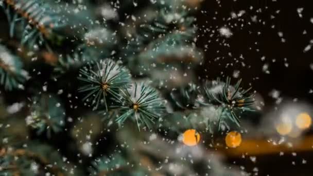 Nieve suave en el bosque nevado de invierno, paisaje nocturno de invierno, rama de abeto en la nieve — Vídeos de Stock