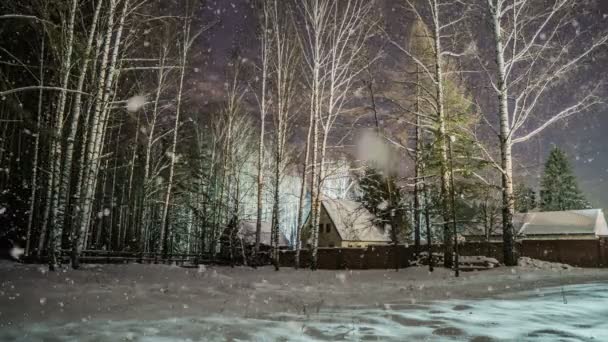 Měkký sníh v zimě zasněženém lese, večerní zimní krajiny, smrkové větve ve sněhu, video smyčky