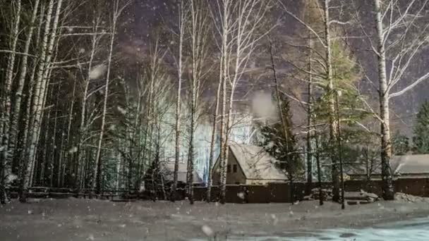 夜の冬景色、雪、ビデオのループでスプルースの枝雪に覆われた冬の森、ソフトの降雪 — ストック動画