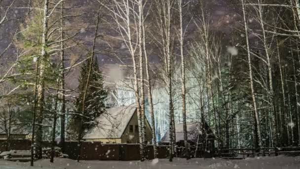 Miękkim śniegu w lesie zimą śnieżne, wieczór zimowy krajobraz, świerk oddziałów w śniegu, wideo pętli — Wideo stockowe