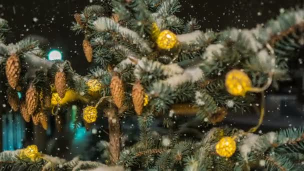 Mjukt snöfall i vinter snöiga skogen, kväll vinterlandskap, spruce filial i snön, videoslinga — Stockvideo