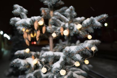 Bir çam kozalağı veya bir Noel ağacı çiftliği ışıkların çelenk ile kozalaklı ağaç köknar koni yakın çekim