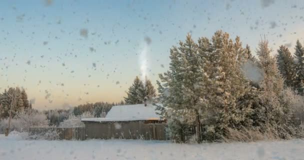Küçük bir günlük kabin yakınındaki ormanda günbatımı güzel kış manzarası güzel bir kar yağışı. video döngü, cinemagrapf