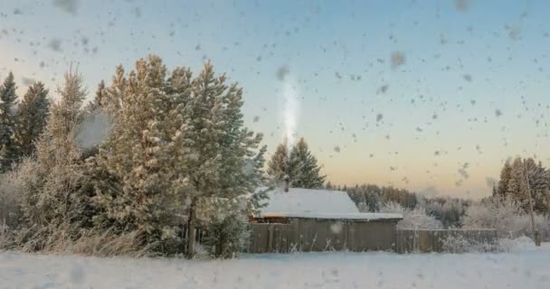 Uma pequena cabana de madeira perto da floresta, uma bela queda de neve ao pôr do sol, uma bela paisagem de inverno. vídeo loop, cinemagrapf — Vídeo de Stock