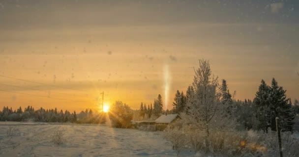 Liten Timmerstuga Nära Skogen Vacker Snöfall Solnedgången Vackert Vinterlandskap Videoslinga — Stockvideo