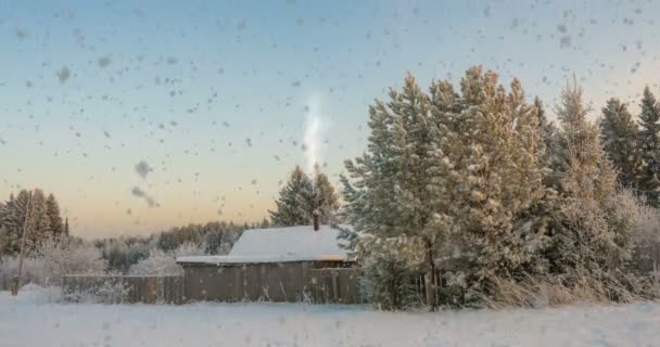 Uma pequena cabana de madeira perto da floresta, uma bela queda de neve ao pôr do sol, uma bela paisagem de inverno. vídeo loop, cinemagrapf — Vídeo de Stock