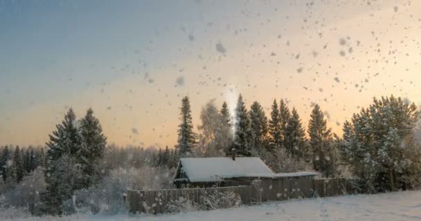 En liten timmerstuga nära skogen, en vacker snöfall i solnedgången, ett vackert vinterlandskap. videoslinga, cinemagrapf — Stockvideo