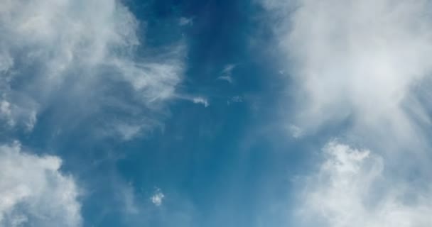 Avião voar por dia ensolarado céu azul. loop de vídeo, Time-lapse — Vídeo de Stock